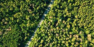 Aditivos para la producción de mezclas asfálticas tibias