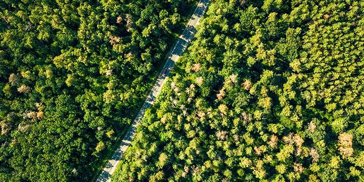 Aditivos para la producción de mezclas tibias